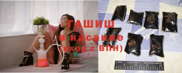 тгк Дмитриев
