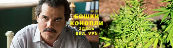 тгк Дмитриев