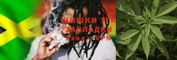 тгк Дмитриев