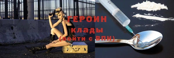 тгк Дмитриев