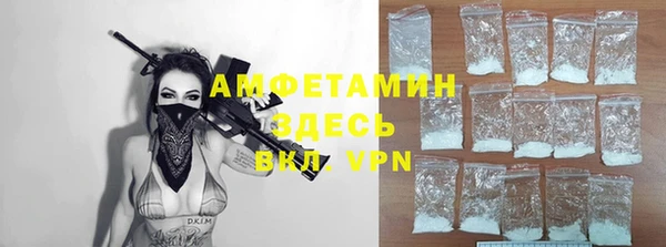 тгк Дмитриев
