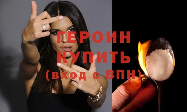 тгк Дмитриев