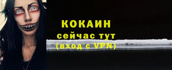 тгк Дмитриев