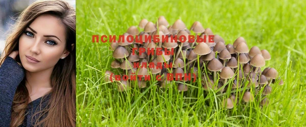 тгк Дмитриев