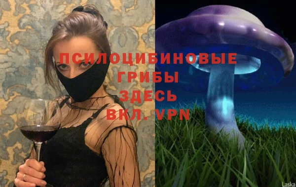 герыч Дмитровск