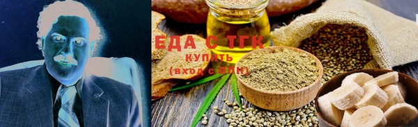 тгк Дмитриев