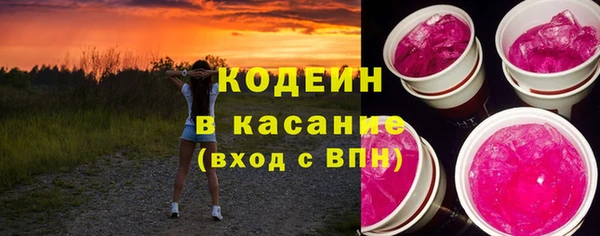 тгк Дмитриев