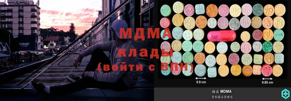 тгк Дмитриев