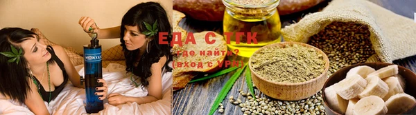 тгк Дмитриев