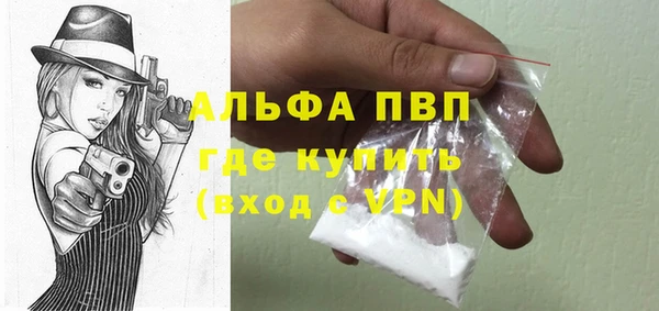 тгк Дмитриев